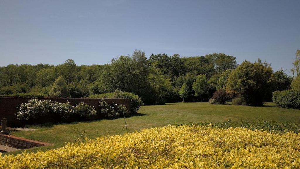 Paddock Barn ~ Short & Long Term Stay, Pets Welcome ~ Woodbridge, Framlingham Ar Cretingham Luaran gambar