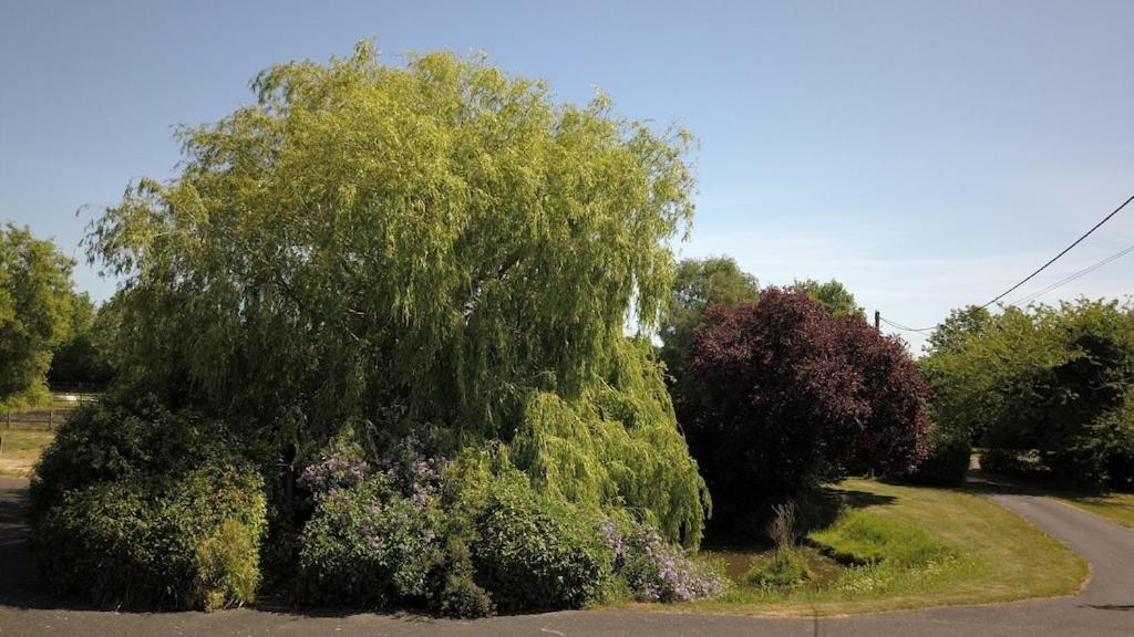 Paddock Barn ~ Short & Long Term Stay, Pets Welcome ~ Woodbridge, Framlingham Ar Cretingham Luaran gambar