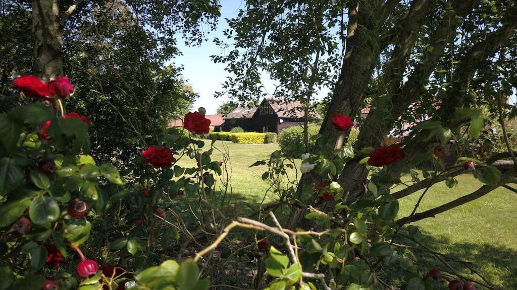 Paddock Barn ~ Short & Long Term Stay, Pets Welcome ~ Woodbridge, Framlingham Ar Cretingham Luaran gambar